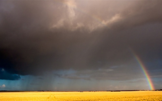 rainandrainbow