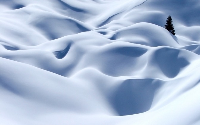 snowblind