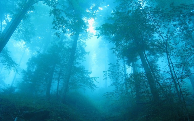 blueforest
