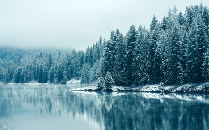 firstlightofwinter