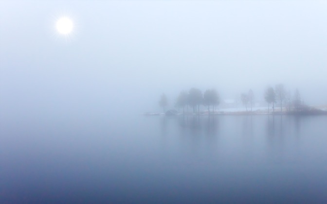 bluefog