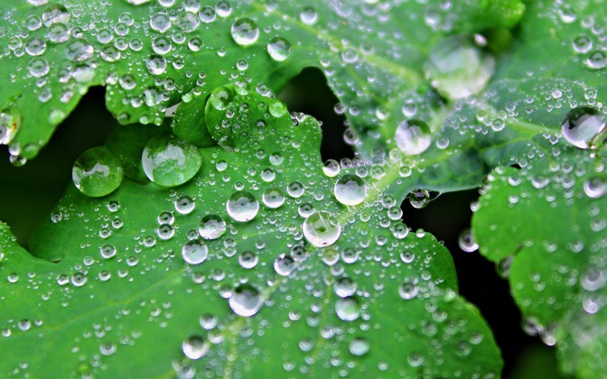 waterdroplets