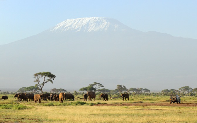 unforgettablesafari