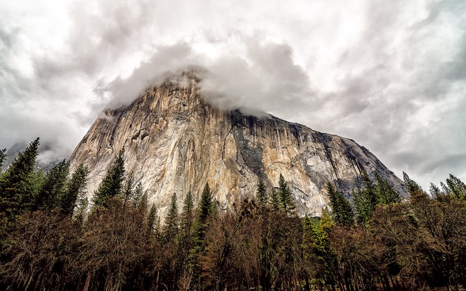 elcapitandaresyou