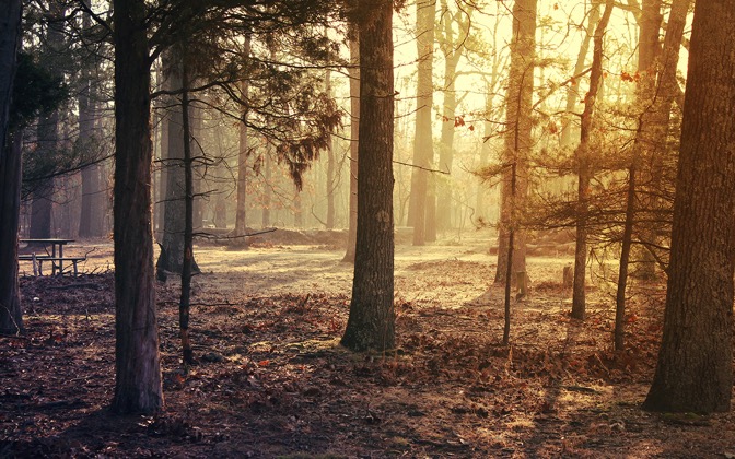 morningchill