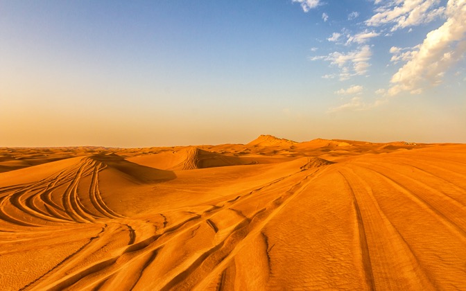 desertsafari