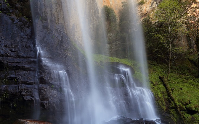 silverfalls