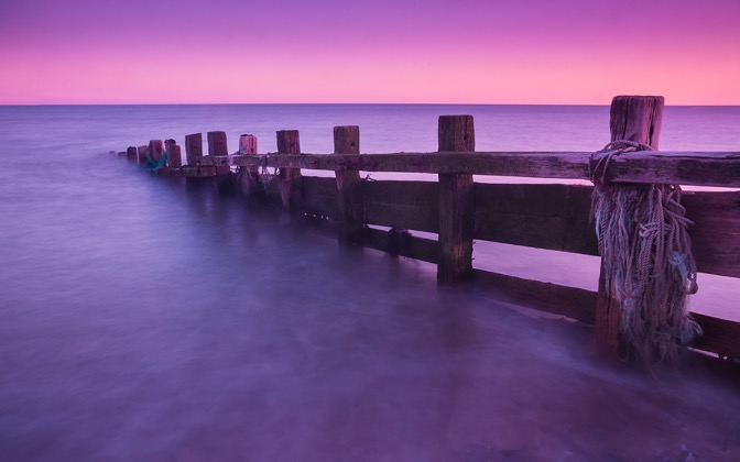 purple