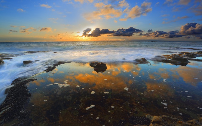 anemonepoolreflections