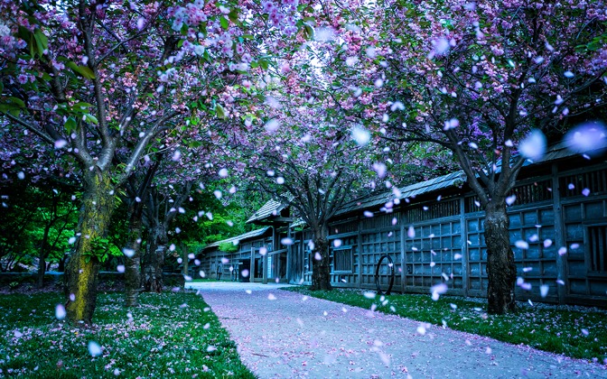 kariyapark
