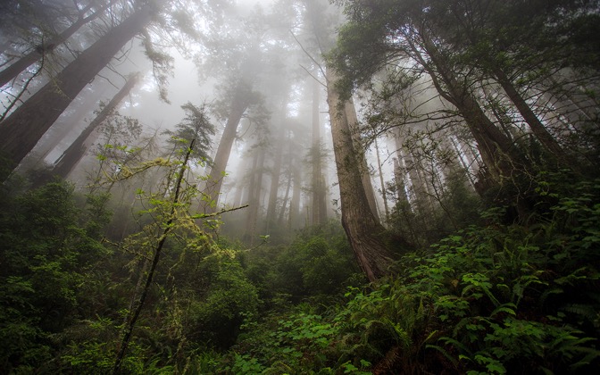 damnationcreektrail