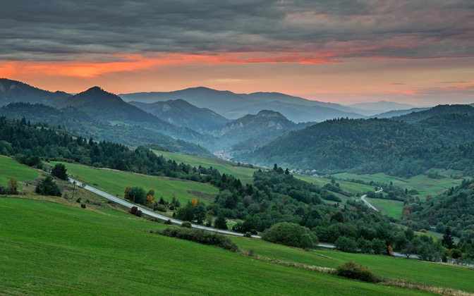 wielkilipnik