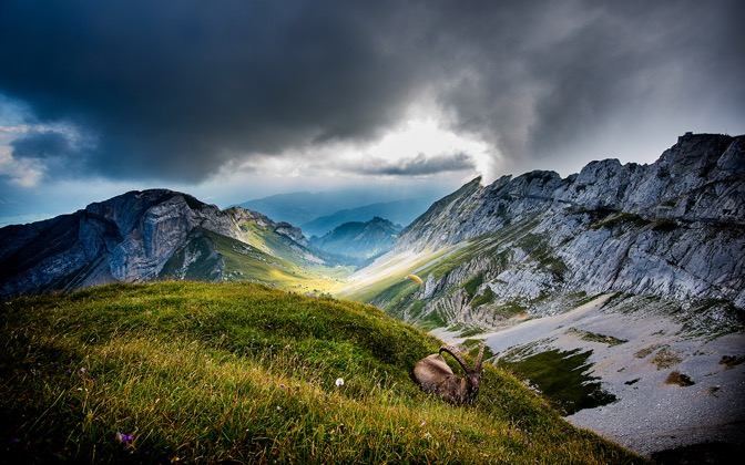 ibexatmtpilatus