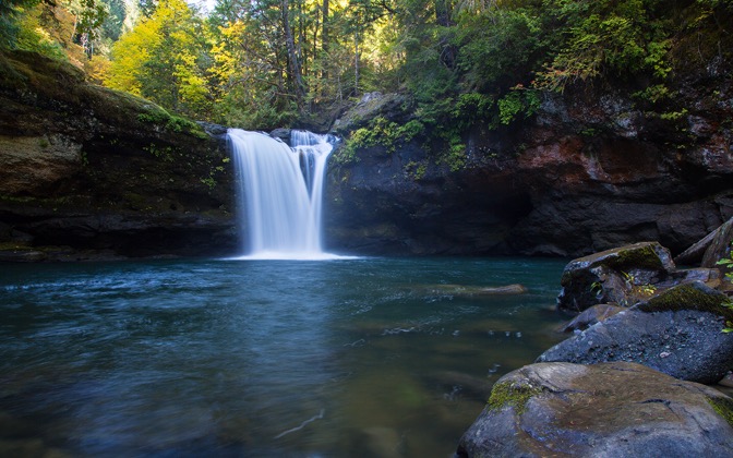 coquillefalls