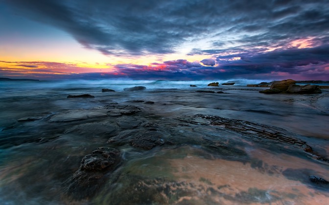 whalebeachpartii
