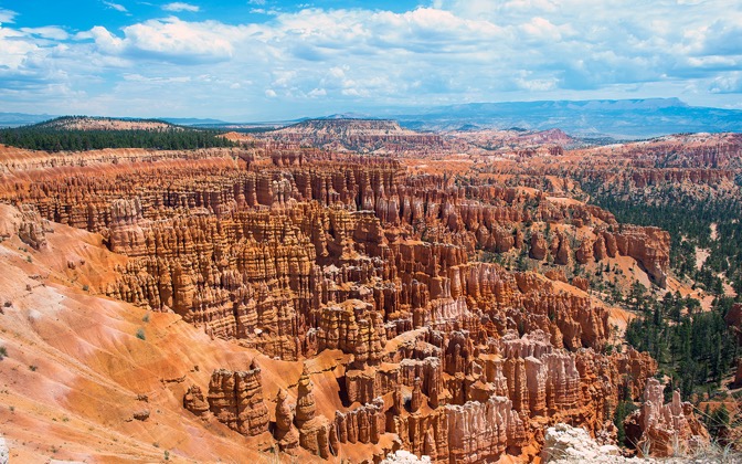 bryce