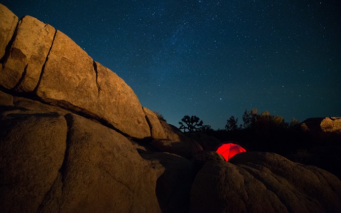 starsoverjoshuatree