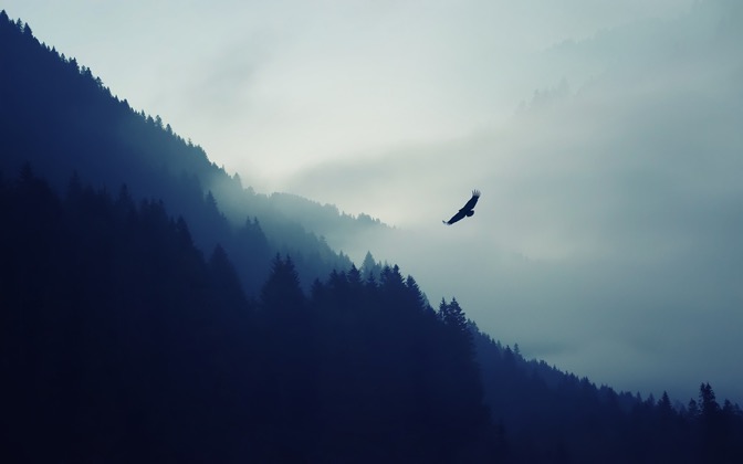 theeagle