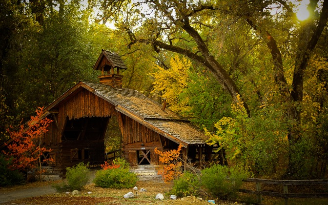 fall