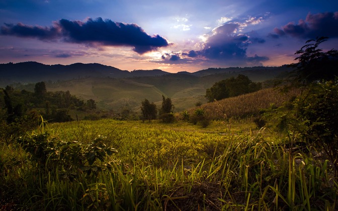 ruralthailand2
