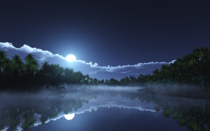 tropiccoldnight