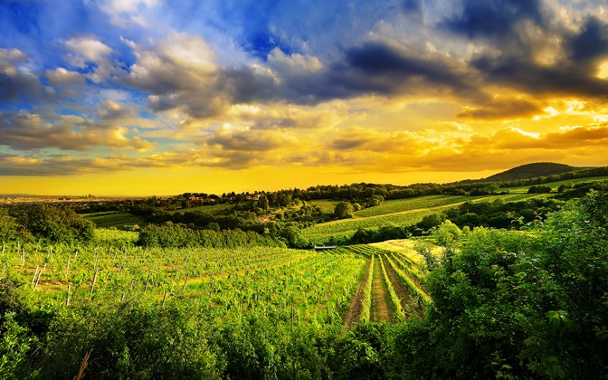 hillsofvienna