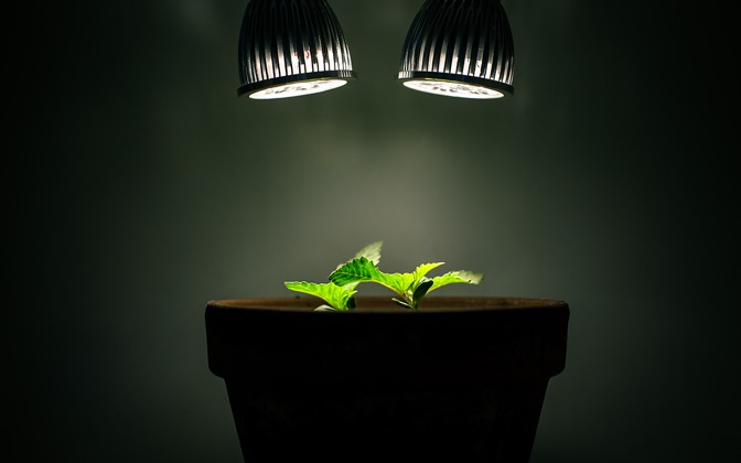 greensynthesis