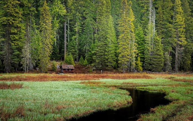 thecabin