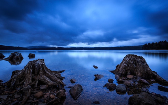 chilledstumps