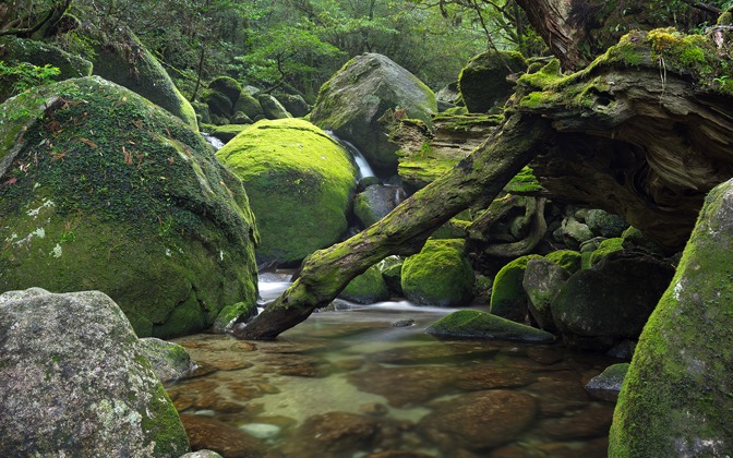 shirataniunsuikyo