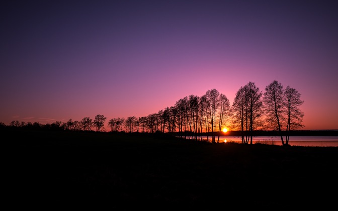 treesilhouette