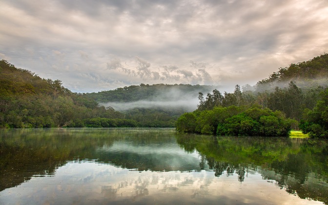 mistymorningatberowacreek