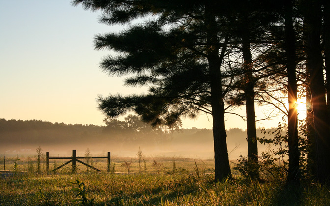goodmorningalabama
