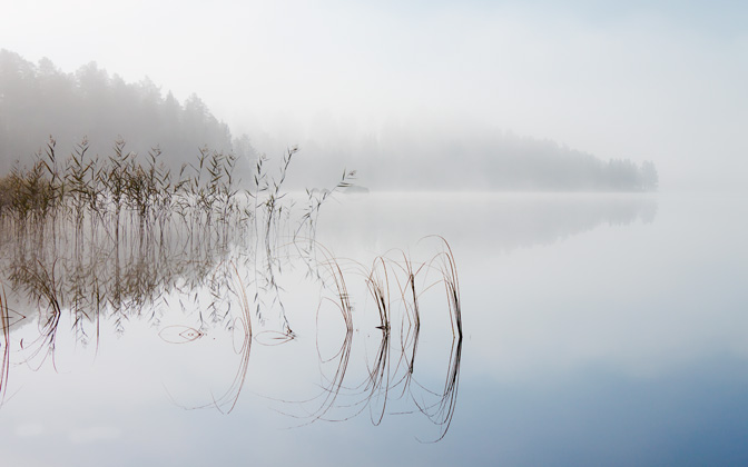 morningmist