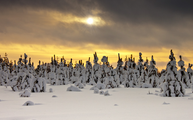 wintertime