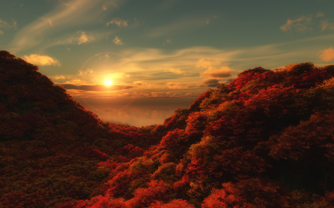 morningcolor