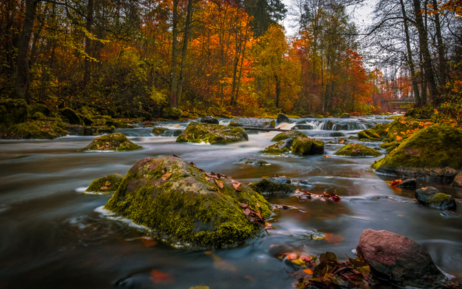colorsofautumn