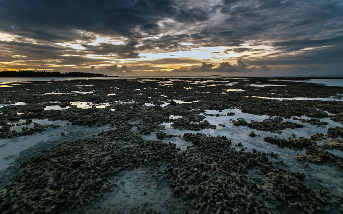 coralsunset