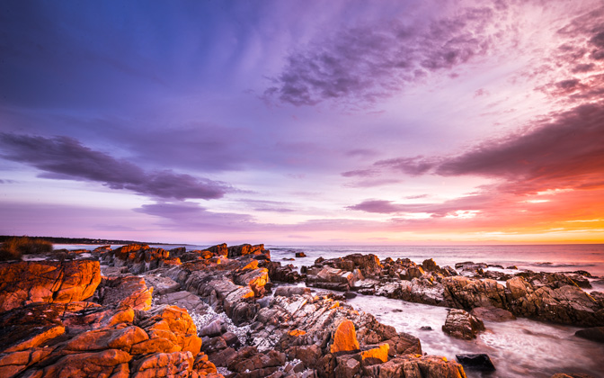 bayoffiretasmania