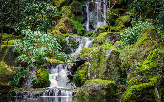 thejapanesegardens