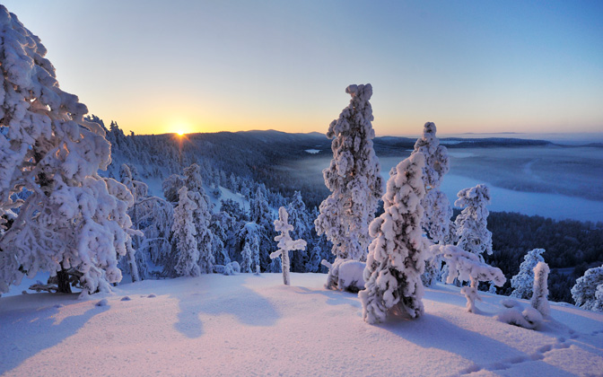 konttaineninnorthernlight