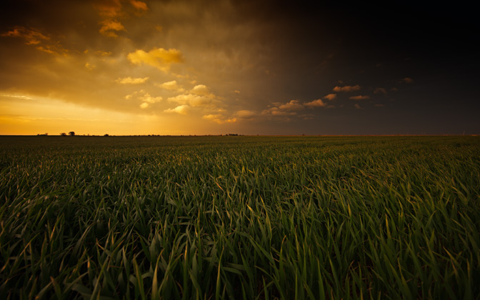 paintedplains