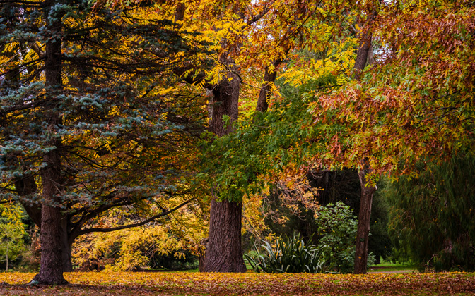 autumncolours
