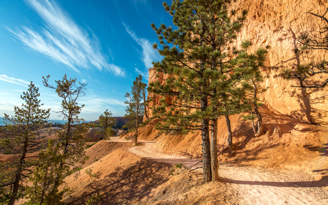 insidebrycecanyon