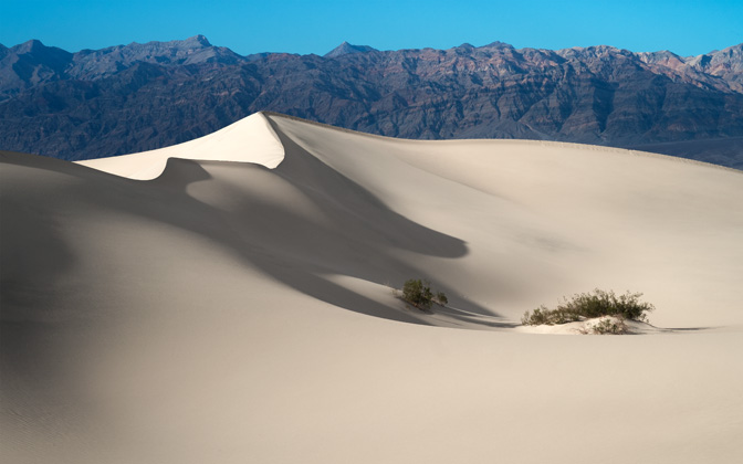 mesquiteflat