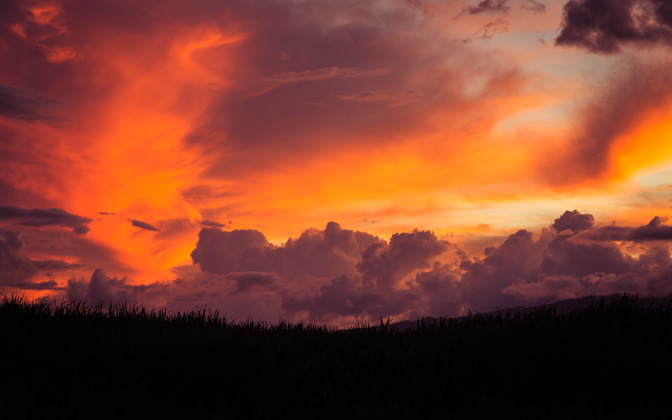tangerinesinthesky