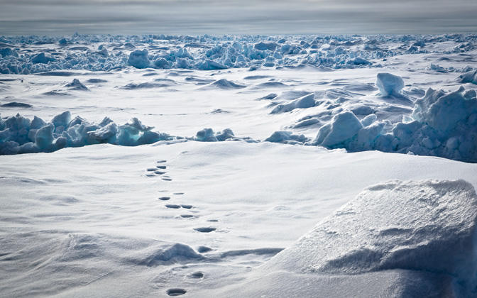 polartracks