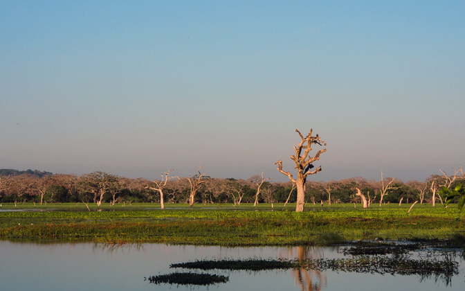 yalanationalpark