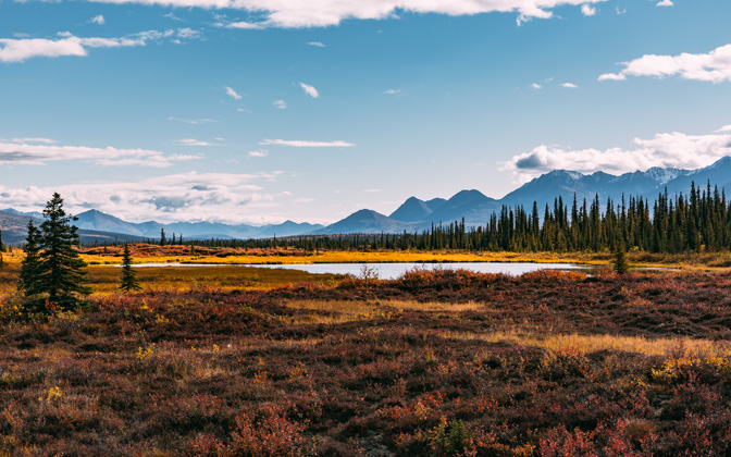 autumninalaska