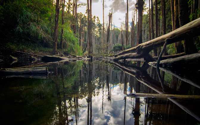 caodiwetland